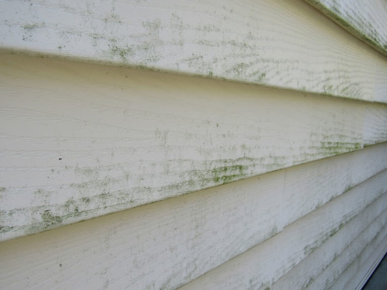 Tips To Protect Your Home Siding From Damage