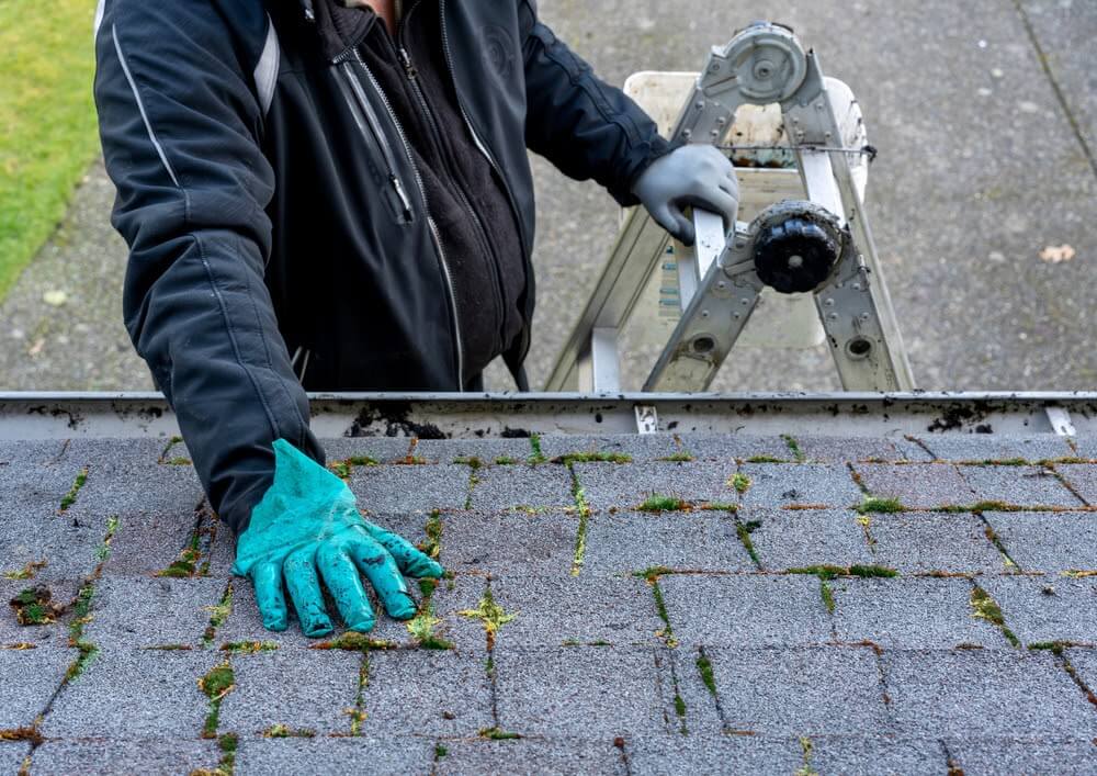 How to Remove Moss From Shingles on a Roof
